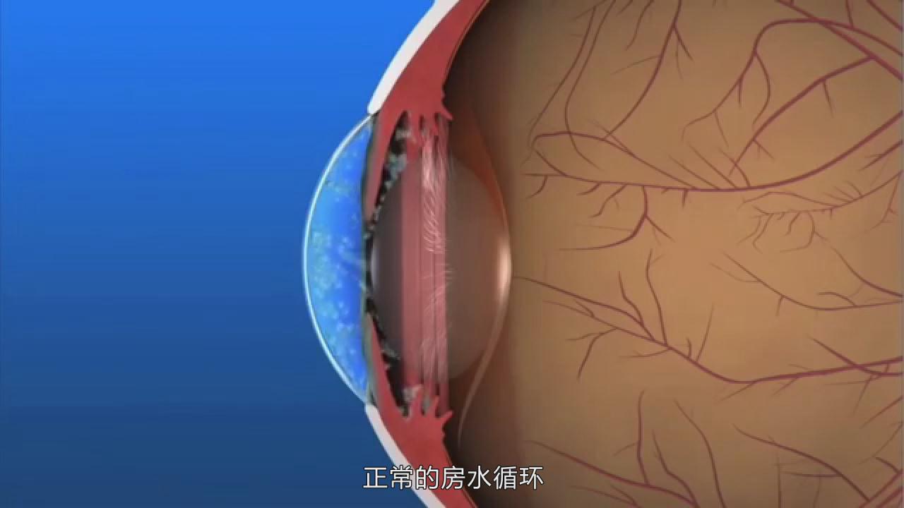 &#20247;&#24425;&#23448;&#32593;&#45;&#40;&#20013;&#22269;&#41;&#32929;&#20221;&#26377;&#38480;&#20844;&#21496;
